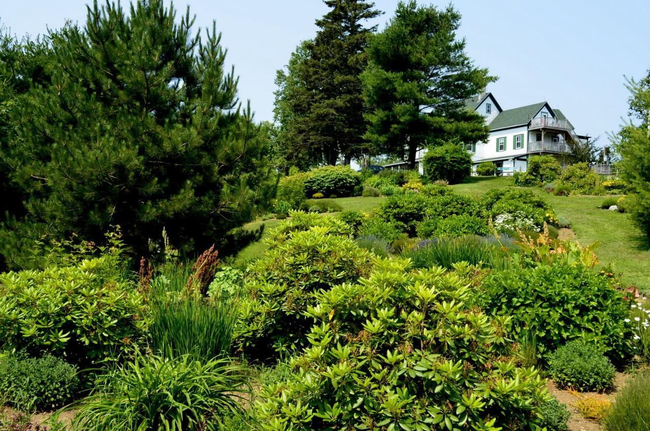 Still Point Lodge Deep Brook Dış mekan fotoğraf