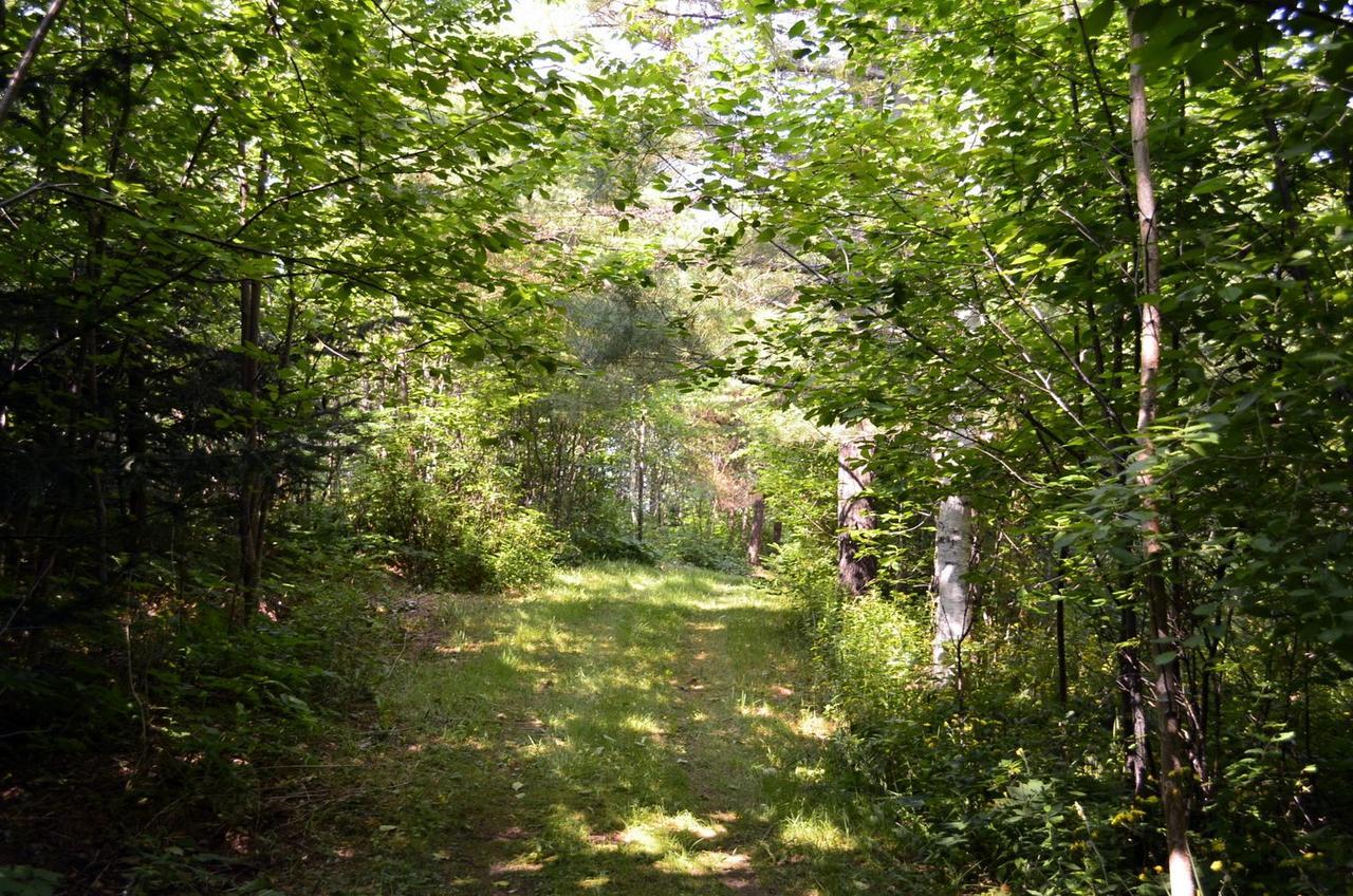 Still Point Lodge Deep Brook Dış mekan fotoğraf