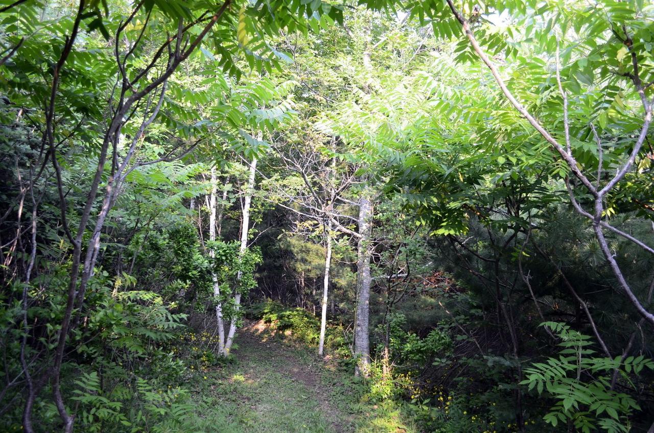 Still Point Lodge Deep Brook Dış mekan fotoğraf
